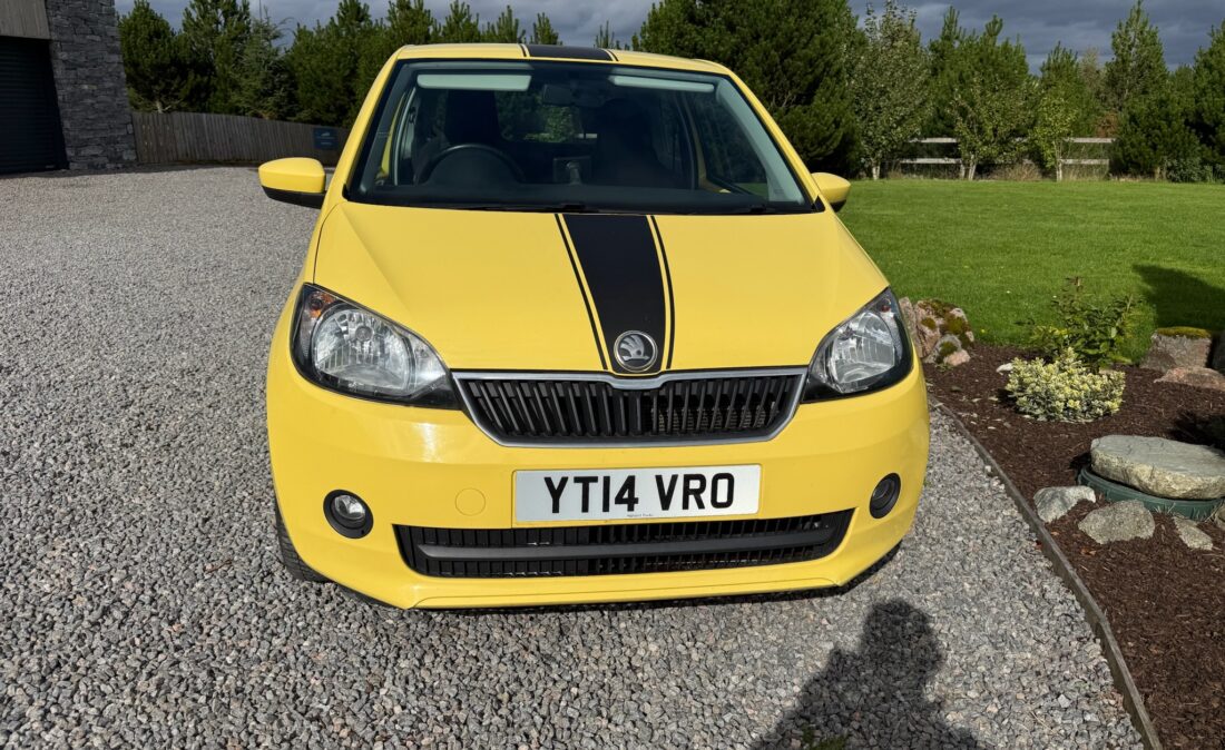 IMG_4729